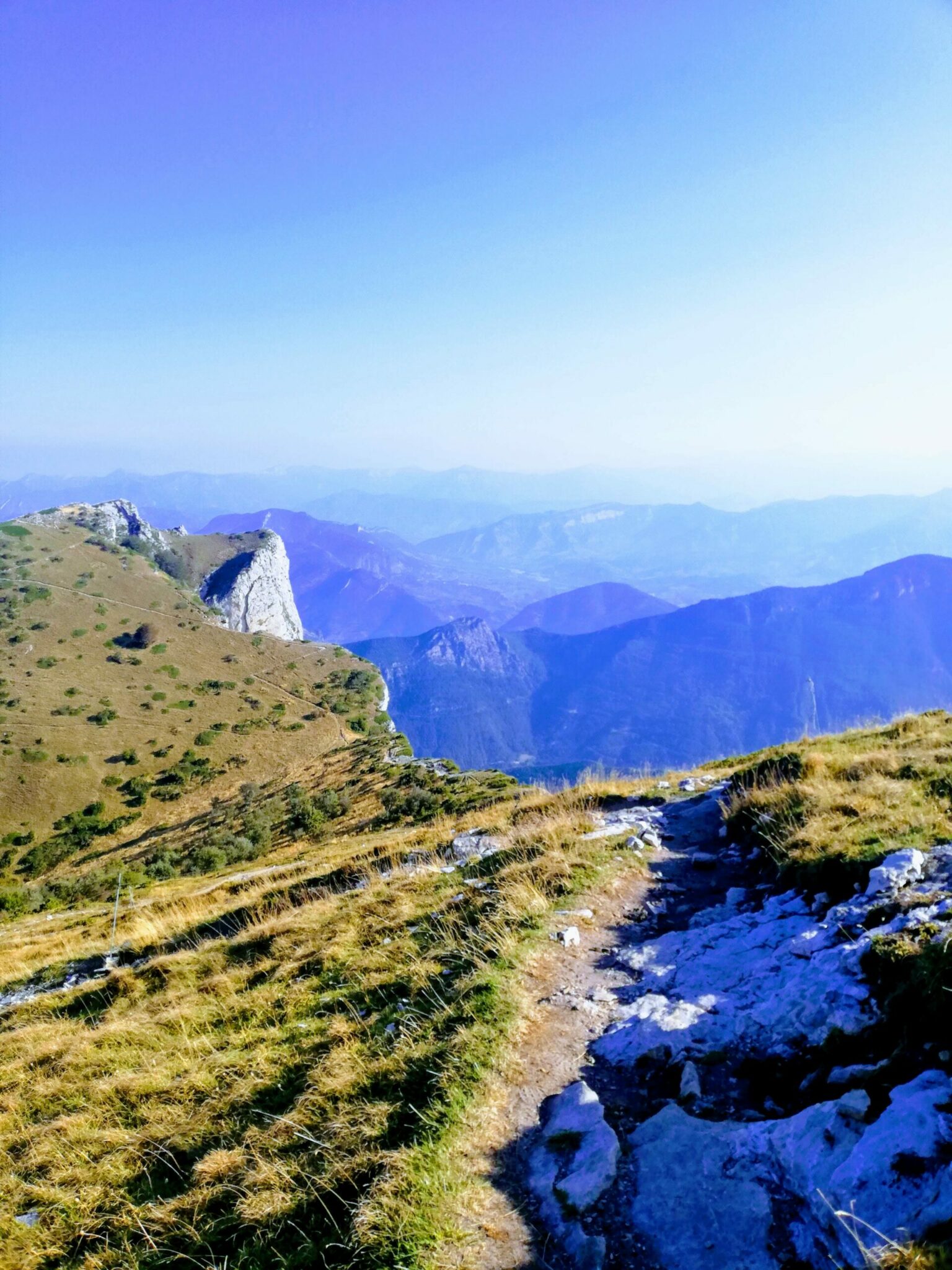 IMG_20200916_095244-EFFECTS