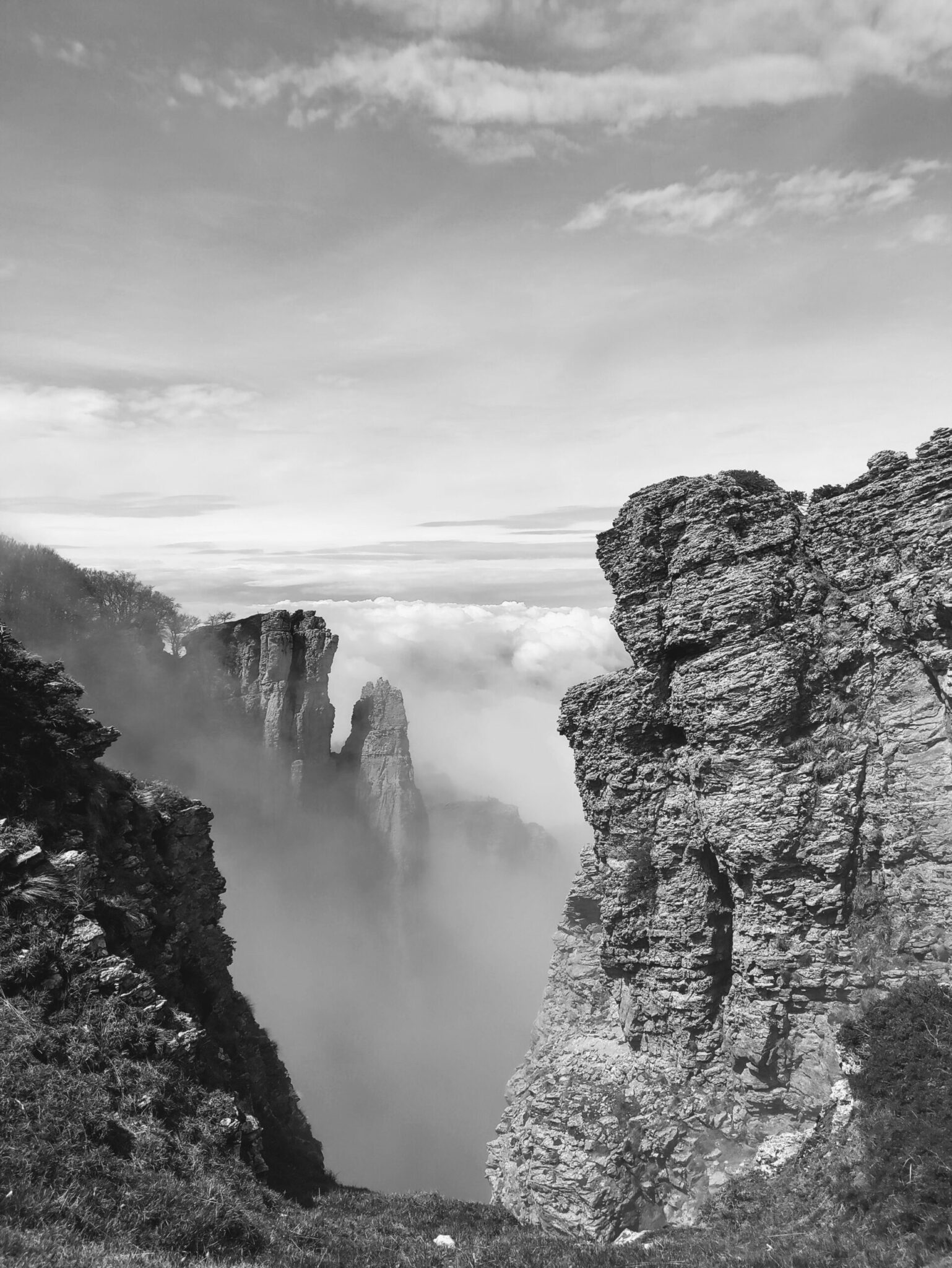 IMG_20230429_141959-EFFECTS